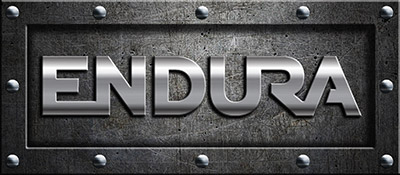 Endura doors security doors